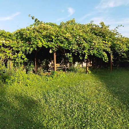 River Side - Cosy - Lot Of Space Юненг Экстерьер фото
